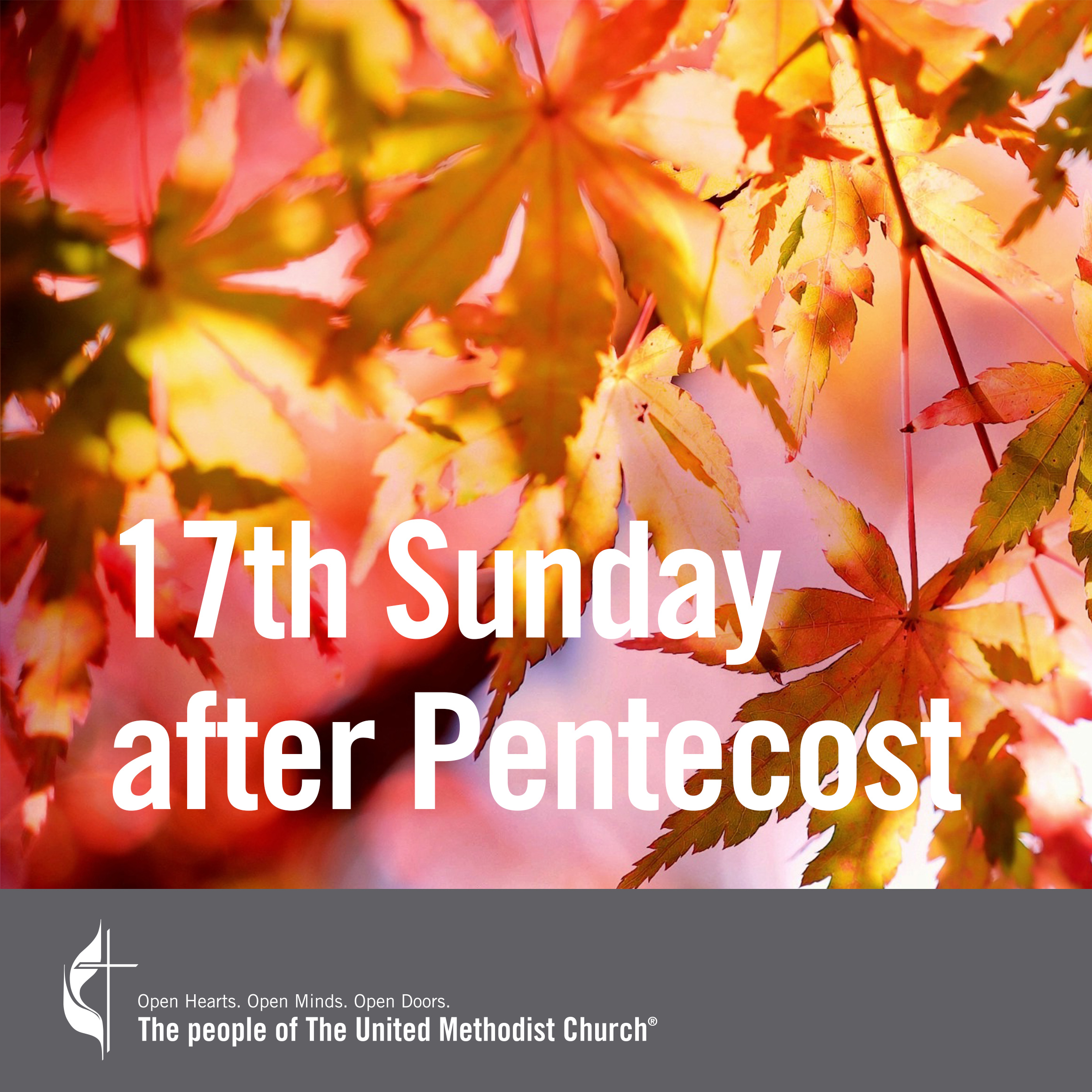 17 Sunday after Pentecost Church Butler Done for you social media